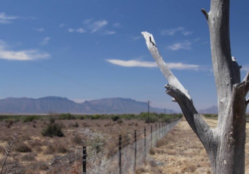 Karoo fence